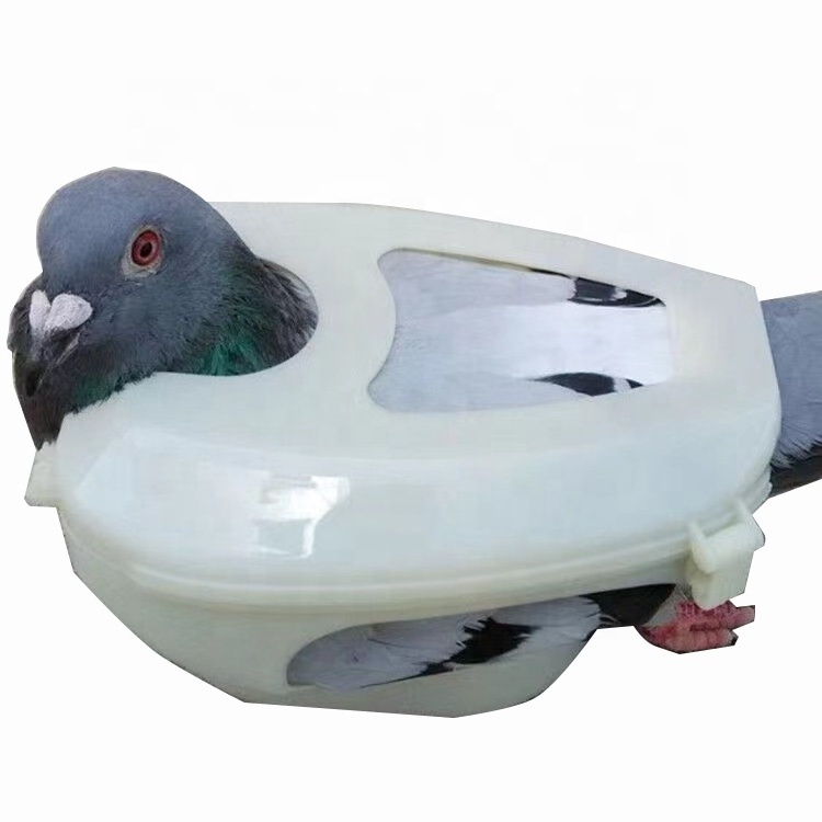 JIATAI High Quality  Pigeon Holder For Feeding Fixed Mount Bird Supplies Pigeon Injection Vaccination Fixed Bondage Tool