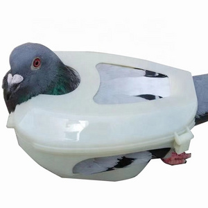 JIATAI High Quality  Pigeon Holder For Feeding Fixed Mount Bird Supplies Pigeon Injection Vaccination Fixed Bondage Tool