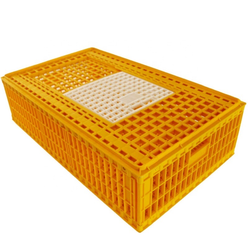 Best price large size chicken transport crate chicken carrier with high quality