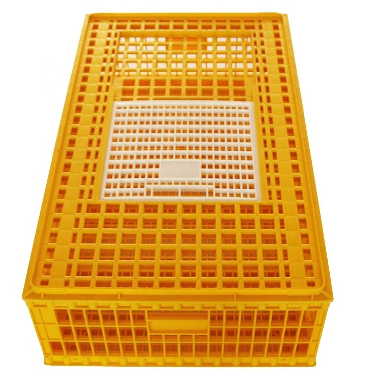 Best price large size chicken transport crate chicken carrier with high quality