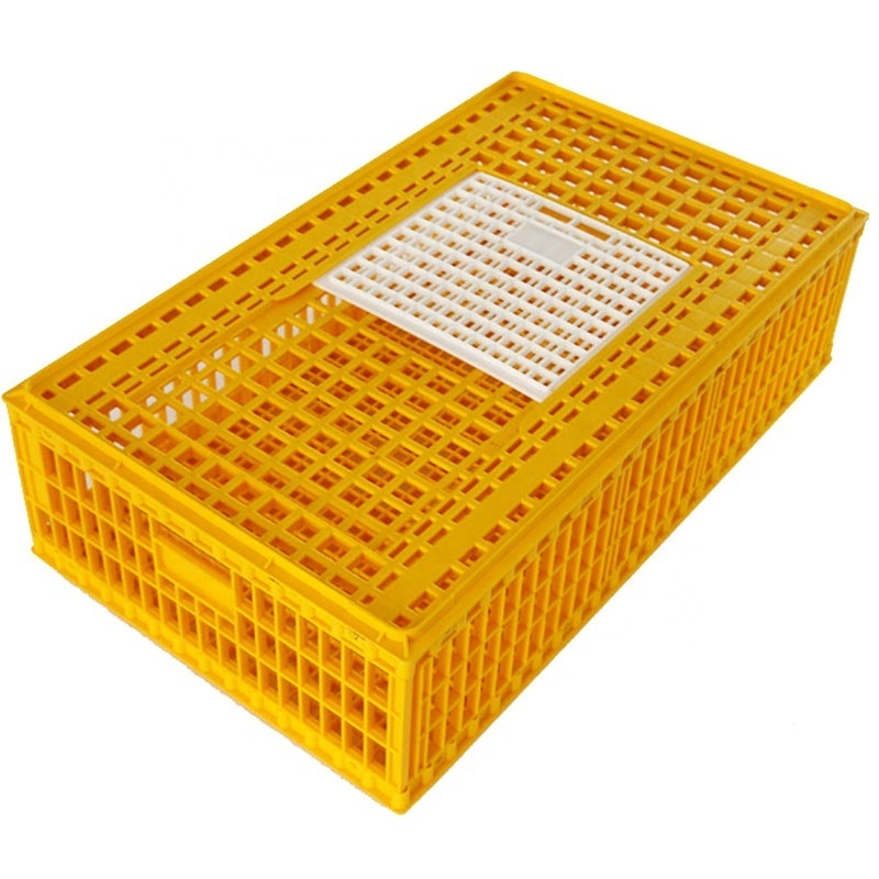 Best price large size chicken transport crate chicken carrier with high quality