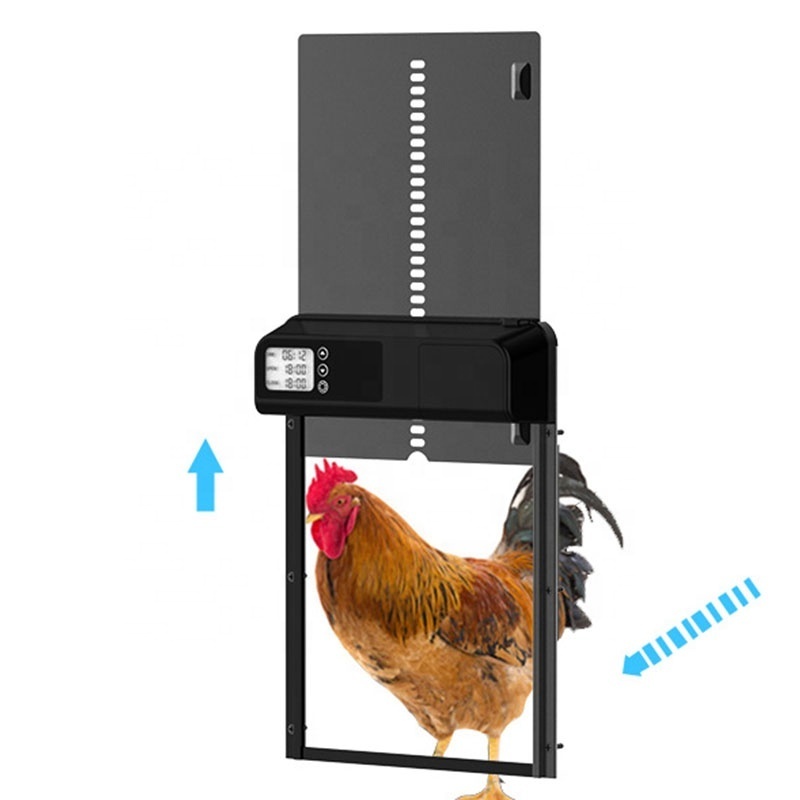 JIATAI wholesale aluminum alloy automatic chicken coop door with digital display timer control chicken coop door