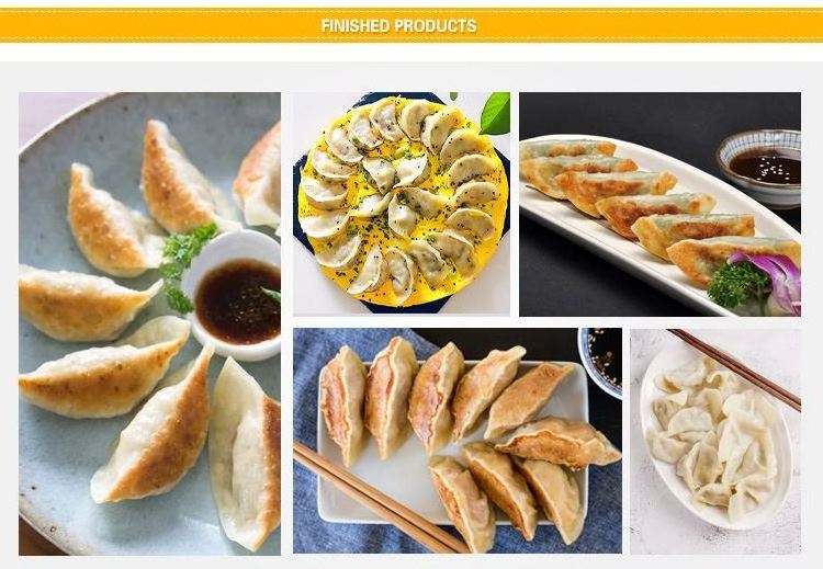 Automatic dumpling skin machine / dumpling machine for USA