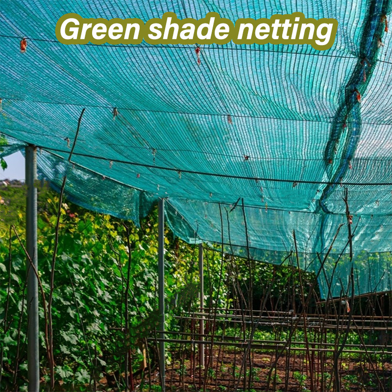 Anti-UV HDPE green shade netting outdoor greenhouse cooling and moisturizing vegetable shade agricultural netting