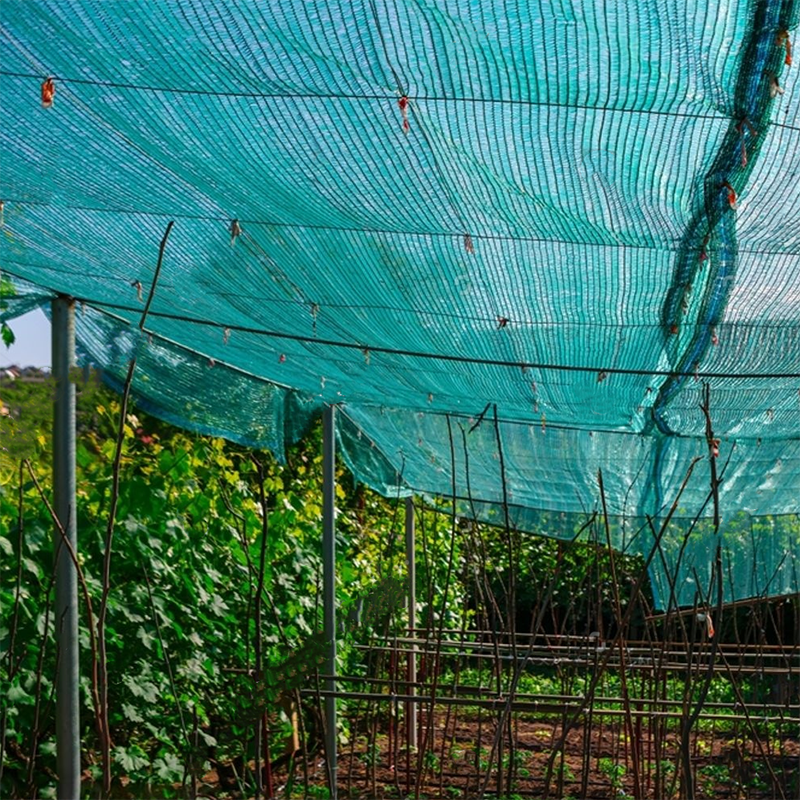 Anti-UV HDPE green shade netting outdoor greenhouse cooling and moisturizing vegetable shade agricultural netting