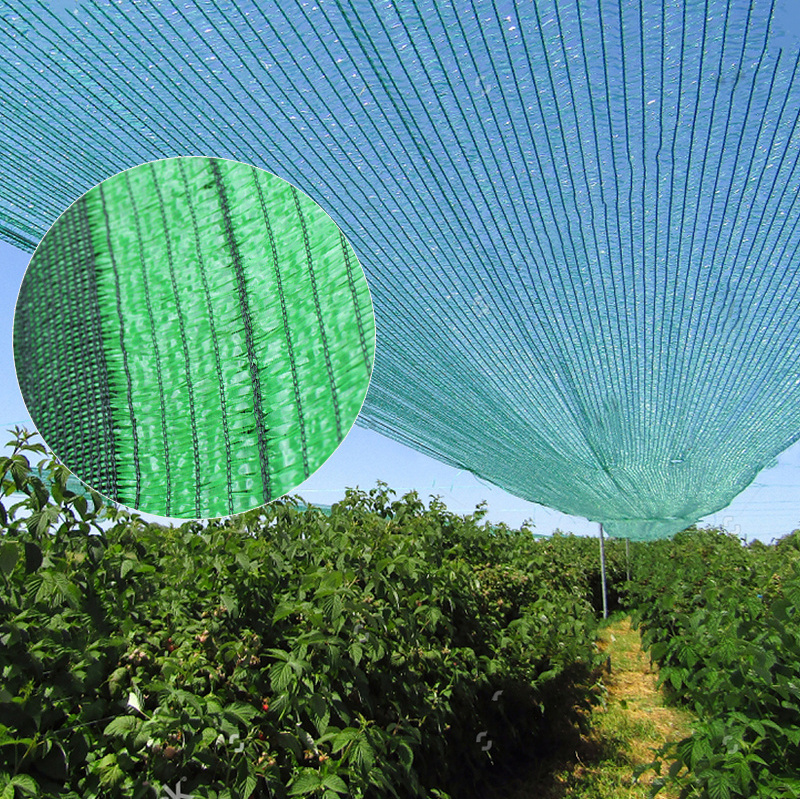 Anti-UV HDPE green shade netting outdoor greenhouse cooling and moisturizing vegetable shade agricultural netting