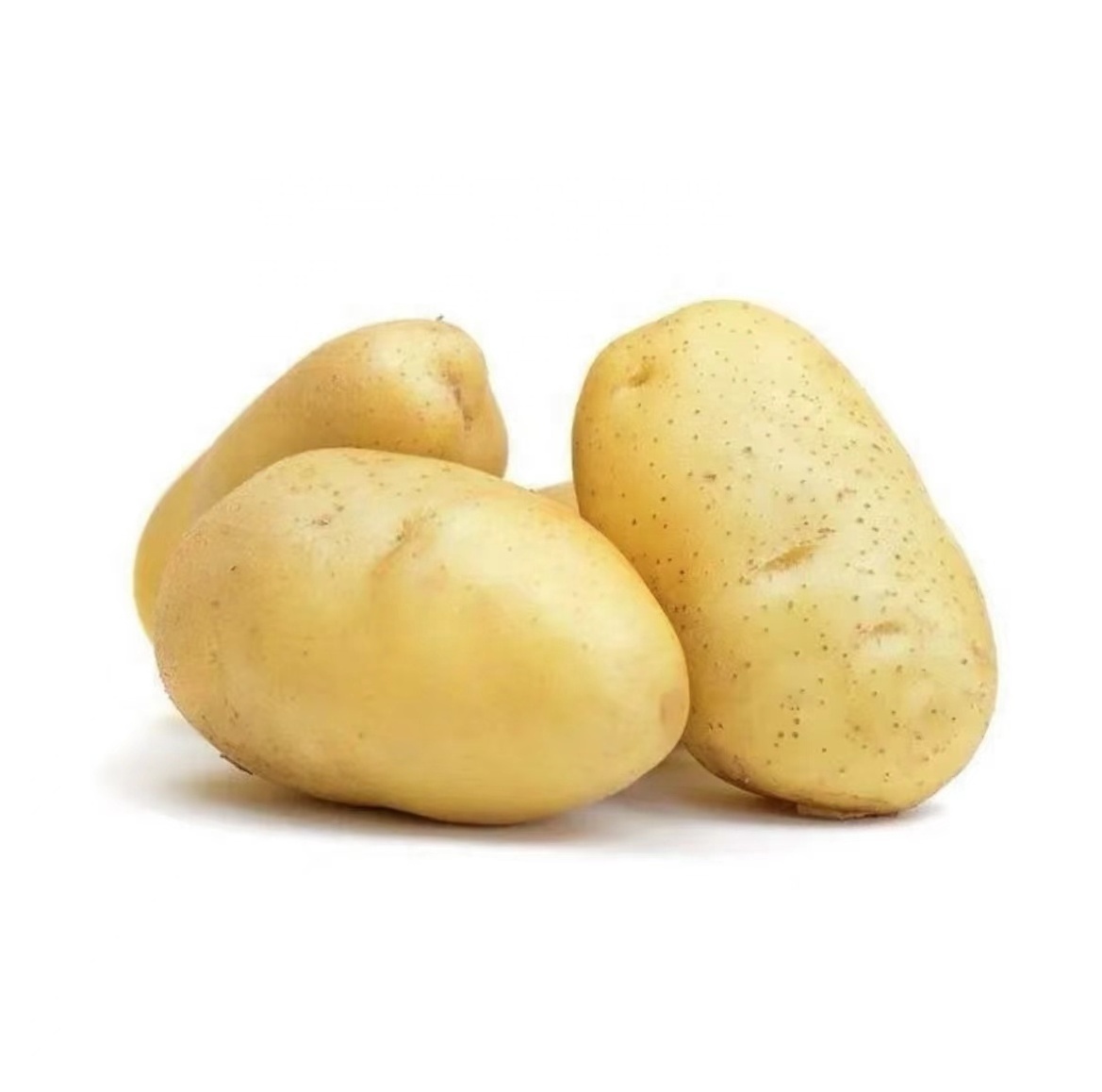 fresh potato exporter Factory Potato Price For Wholesale High quality bulk potatoes ready to ship