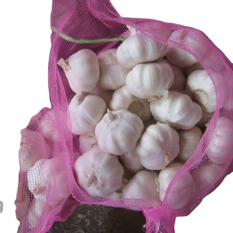 2023 new crop  Chinese fresh garlic red normal purple pure white garlic ajo alho garlics price for wholesale export