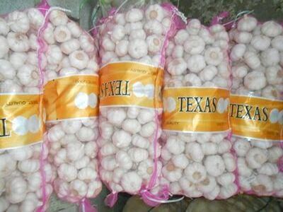 supply 2023 Garlic China Good Farmer Garlic Normal/Pure White red garlic ajo chino Price