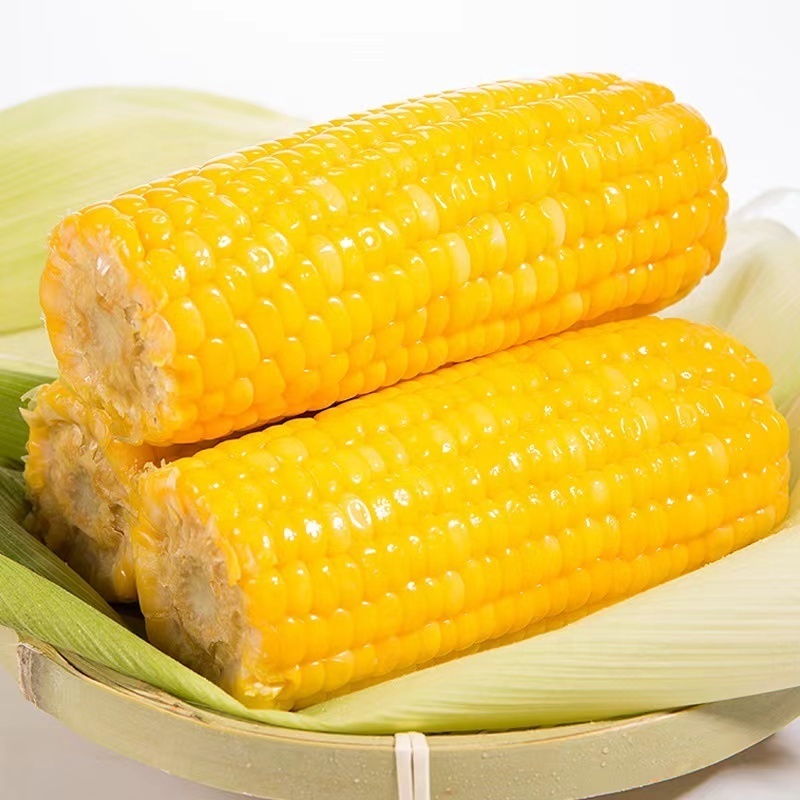 Custom Printed Quality Fresh And Delicious Grains Yellow Corn Sticks Sweet Frozen Sweet Corn Whole