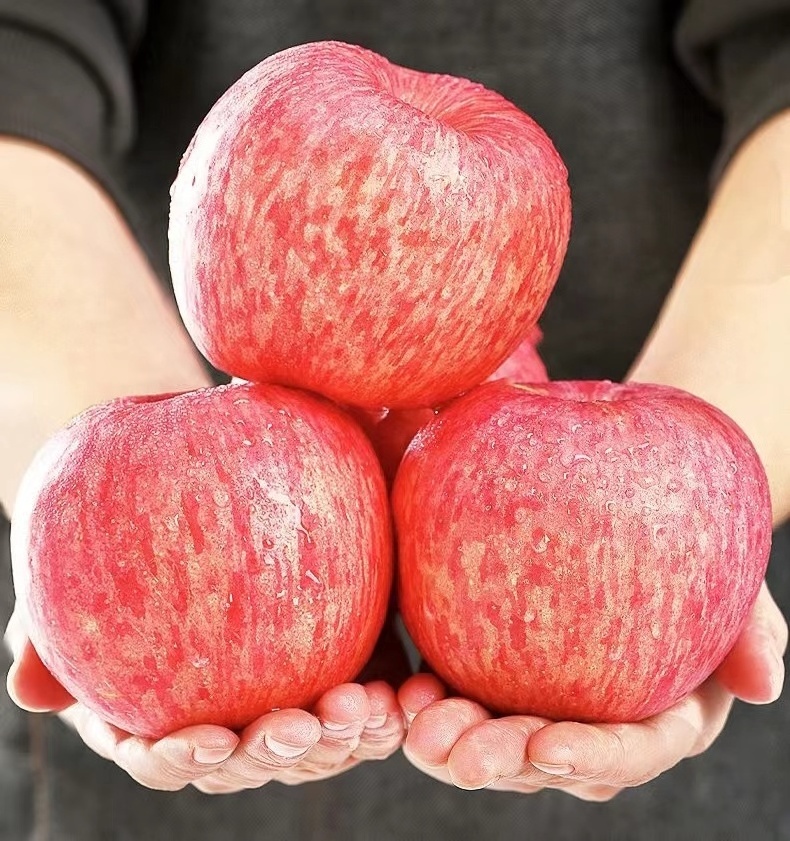 apple fresh Chinese Fresh Gala Apples/Red Apple/Fuji Apple Price