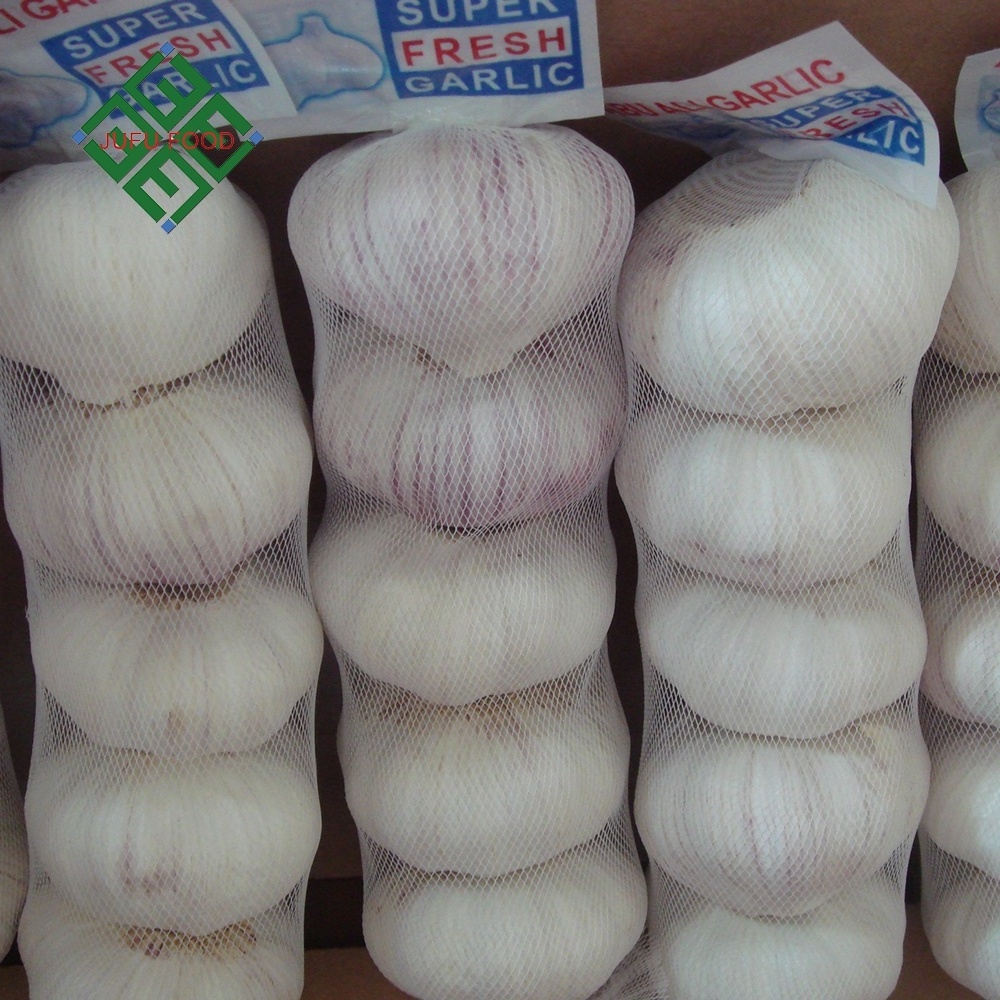 2023 New Crop Fresh garlic /ajos/alho exporters