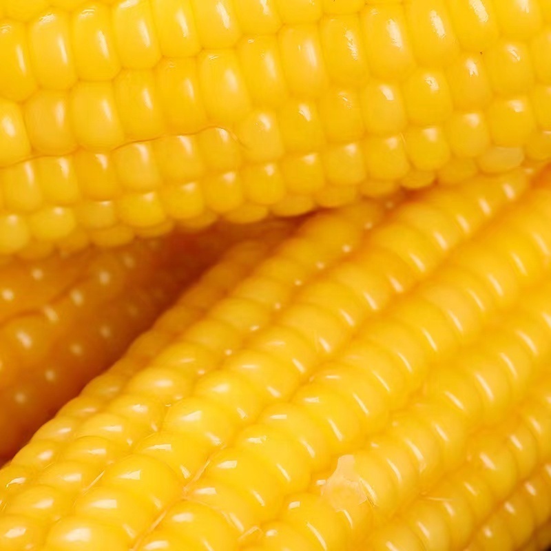 All natural vacuum frozen sweet corn on the cob