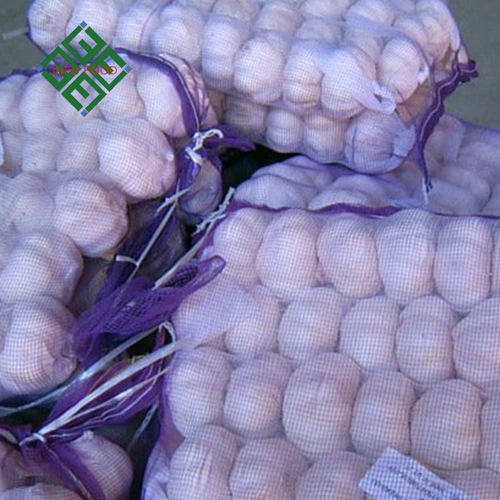 2023 new crop  Chinese fresh garlic red normal purple pure white garlic ajo alho garlics price for wholesale export