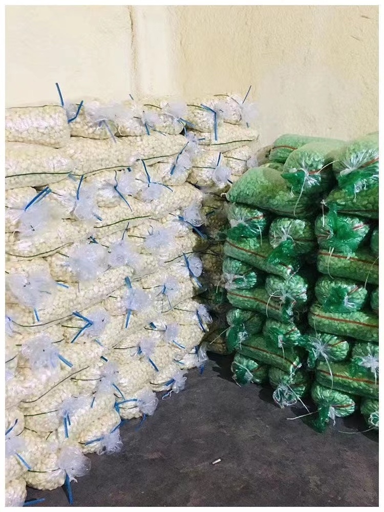 Fresh New Chinese wholesale garlic vacuum peeled Garlic in bulk for import/export in low price