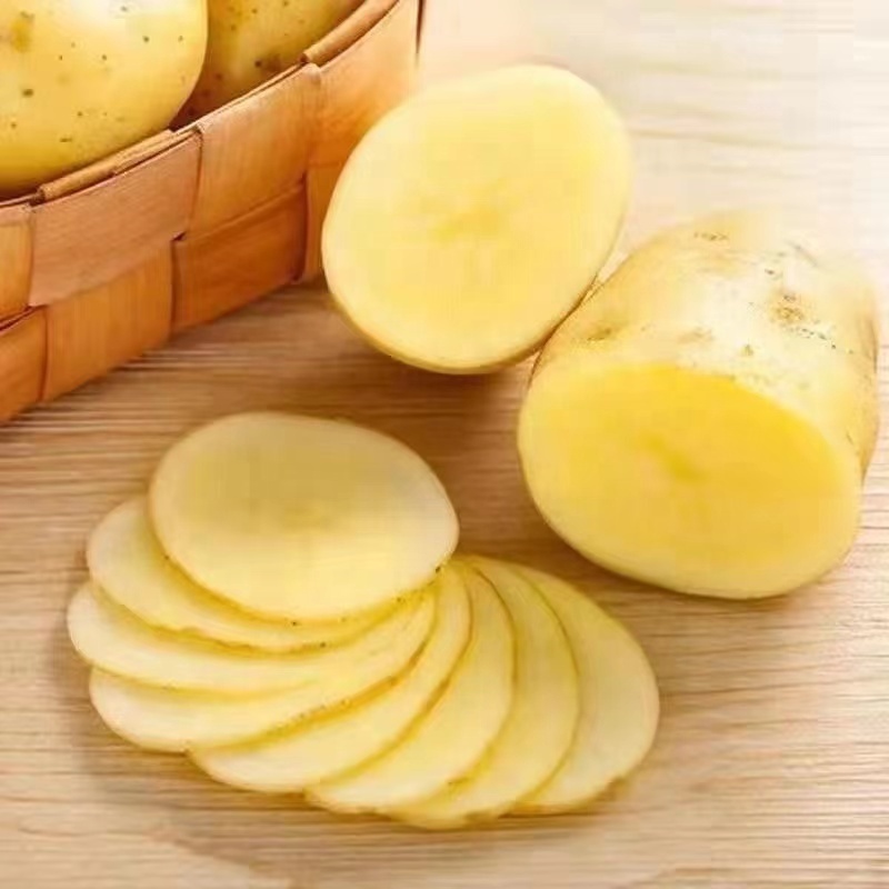 New season potato wholesale fresh potato China vegetables export