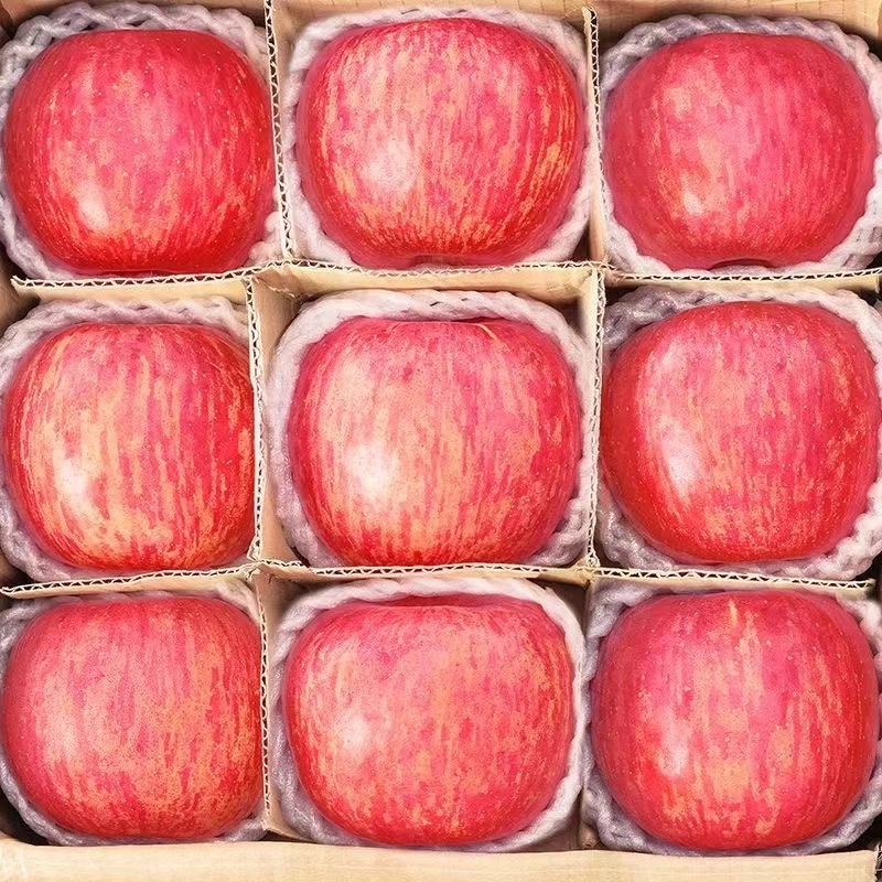 apple fresh Chinese Fresh Gala Apples/Red Apple/Fuji Apple Price