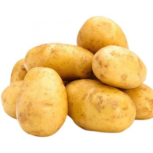 New season potato wholesale fresh potato China vegetables export