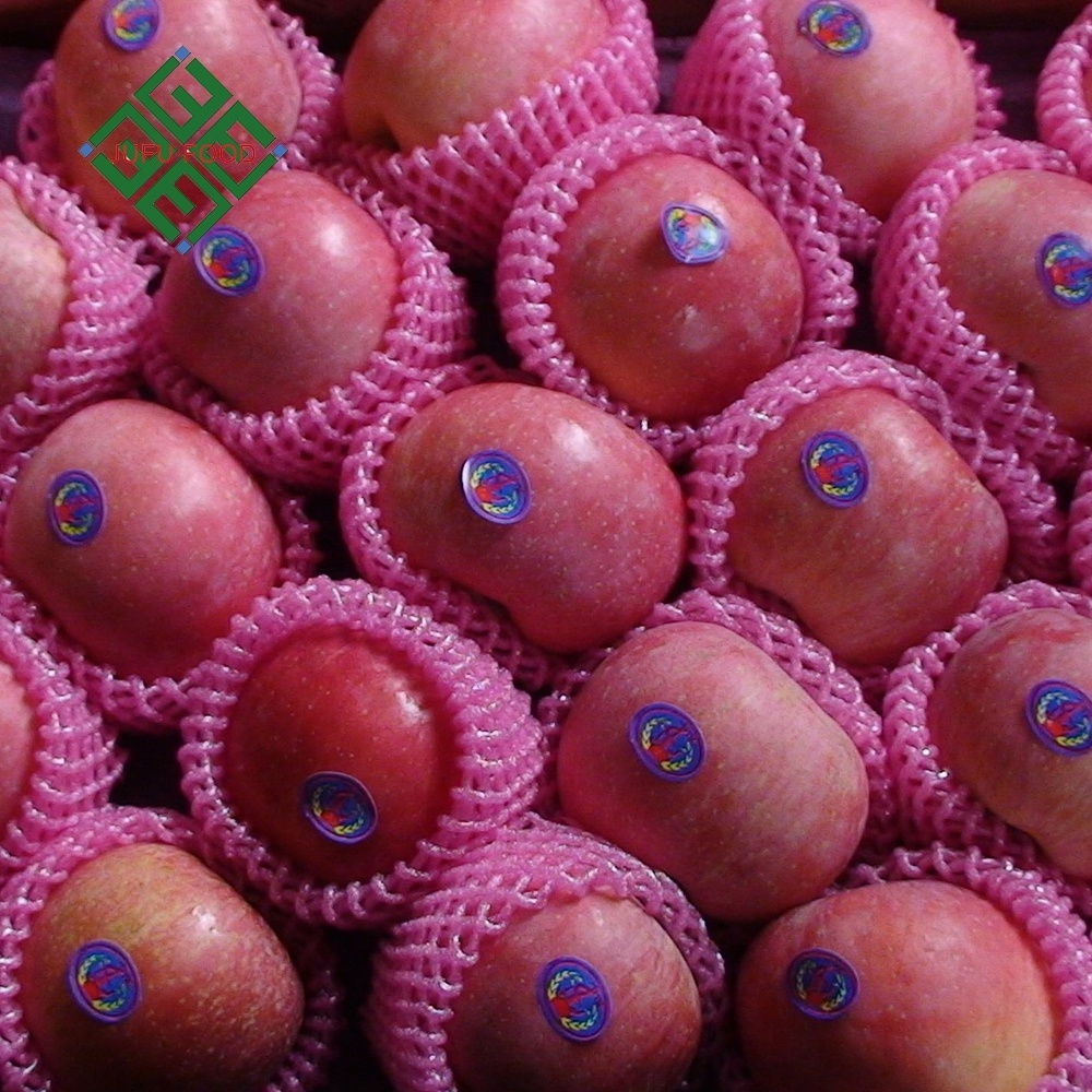 Chinese Fresh Red Fuji Apple Price fresh apples exporters High quality fresh red delicious fruit  apples