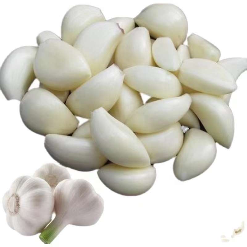 Fresh New Chinese wholesale garlic vacuum peeled Garlic in bulk for import/export in low price