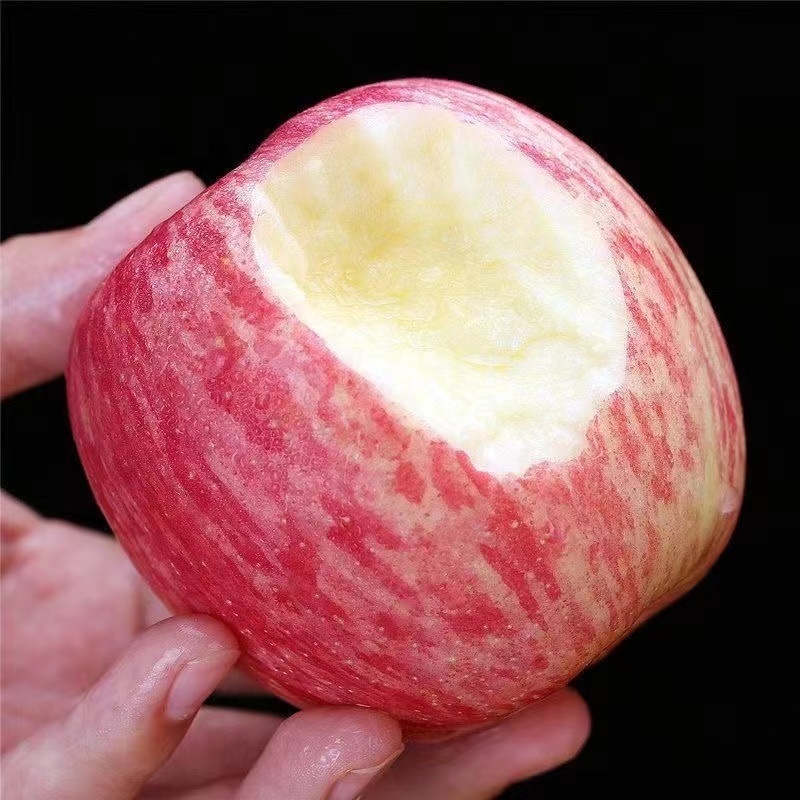 Chinese Fresh Red Fuji Apple Price fresh apples exporters High quality fresh red delicious fruit  apples