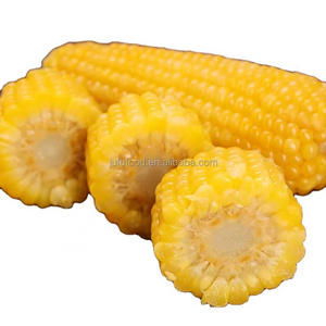 Custom Printed Quality Fresh And Delicious Grains Yellow Corn Sticks Sweet Frozen Sweet Corn Whole