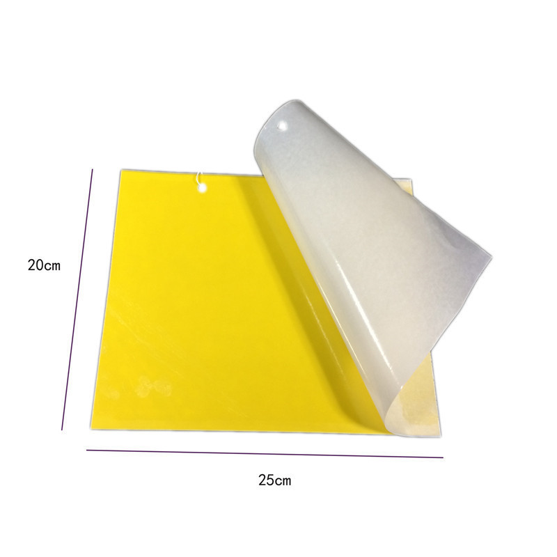 Customized In Various Sizes Yellow Glue Board Plastic Sticky Fruit Fly Trap Insect Bugs Sticker Glue Trap