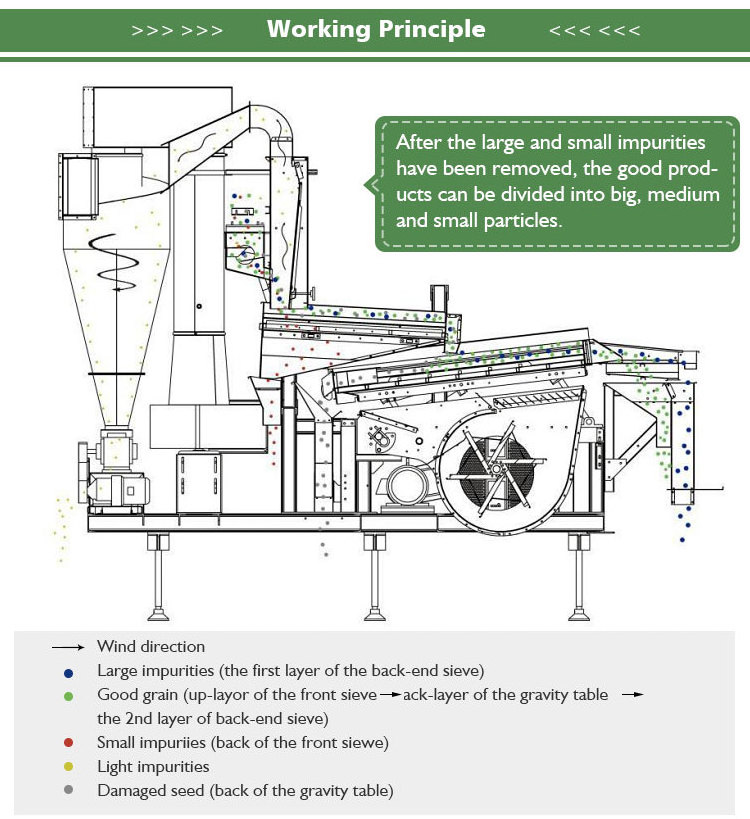 Julite Seed Grain Cleaning Machine Selecting Corn Millet Beans Grading Machine