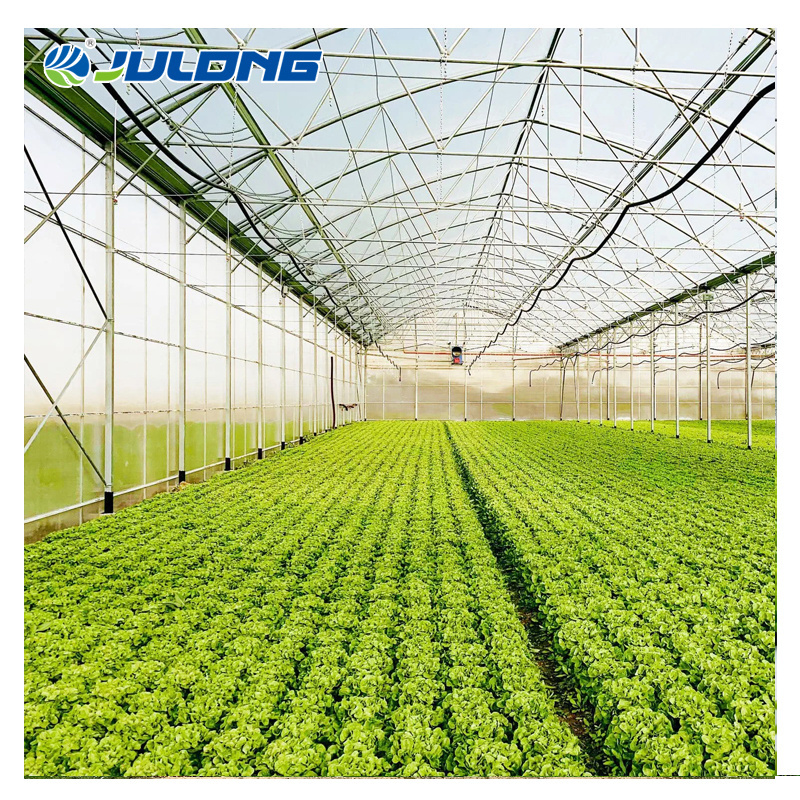 agricultural venta de plastico tunel invernaderos industrial used greenhouse frames for sale