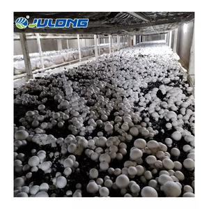 vertical hydroponic system shipping container mushroom smart farming grow room for Oyster button Mushroom Shiitake