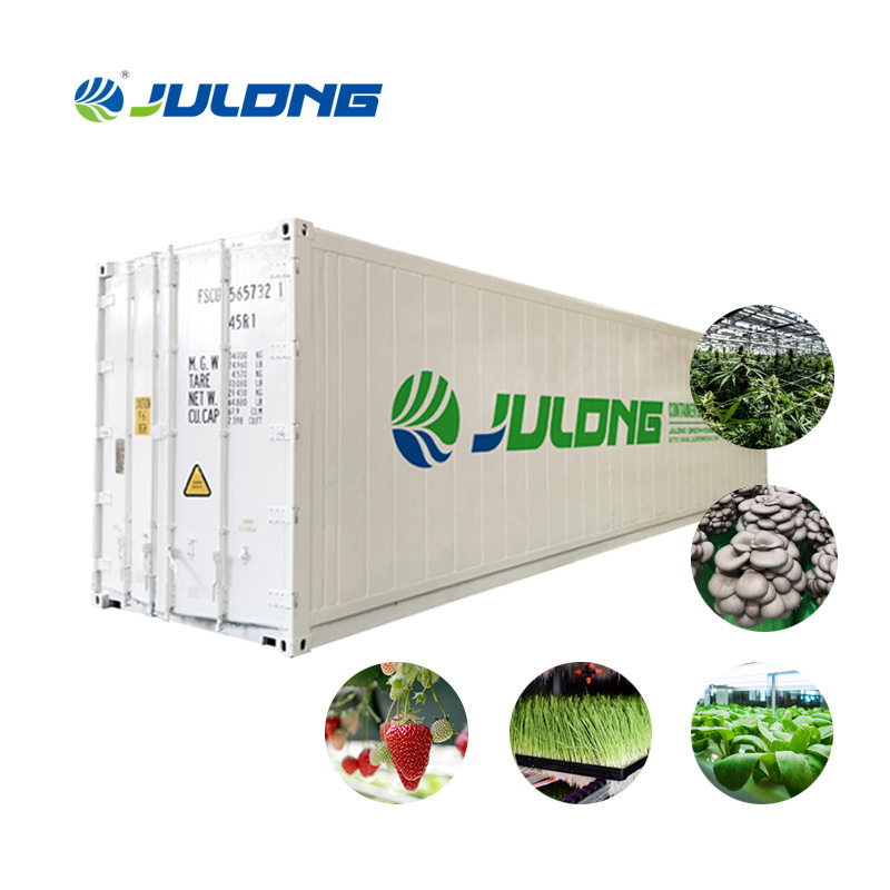 shipping container farm with hydroponic vertical system  for vegetable growing container