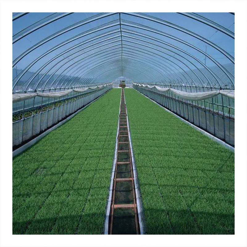 Commercial Tunnel Dwc Hydroponic Systems Vertical Single-span Greenhouses Equipment For seeding breeding