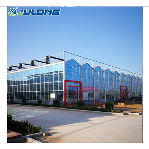 High-Tech plexiglass Venlo Hydroponic Multi Span Glass Greenhouse for agriculture price