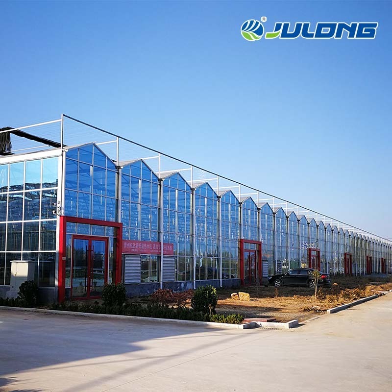 High-Tech plexiglass Venlo Hydroponic Multi Span Glass Greenhouse for agriculture price