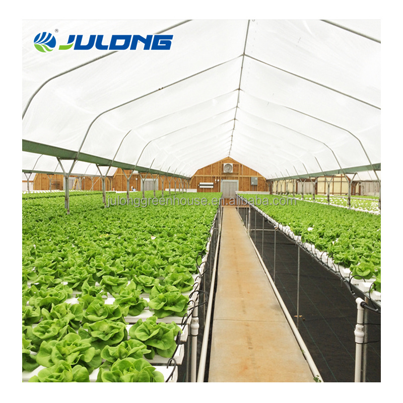 Commercial Tunnel Dwc Hydroponic Systems Vertical Single-span Greenhouses Equipment For seeding breeding