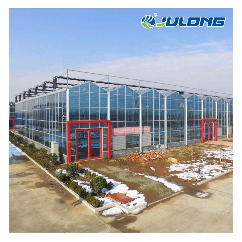 High-Tech plexiglass Venlo Hydroponic Multi Span Glass Greenhouse for agriculture price