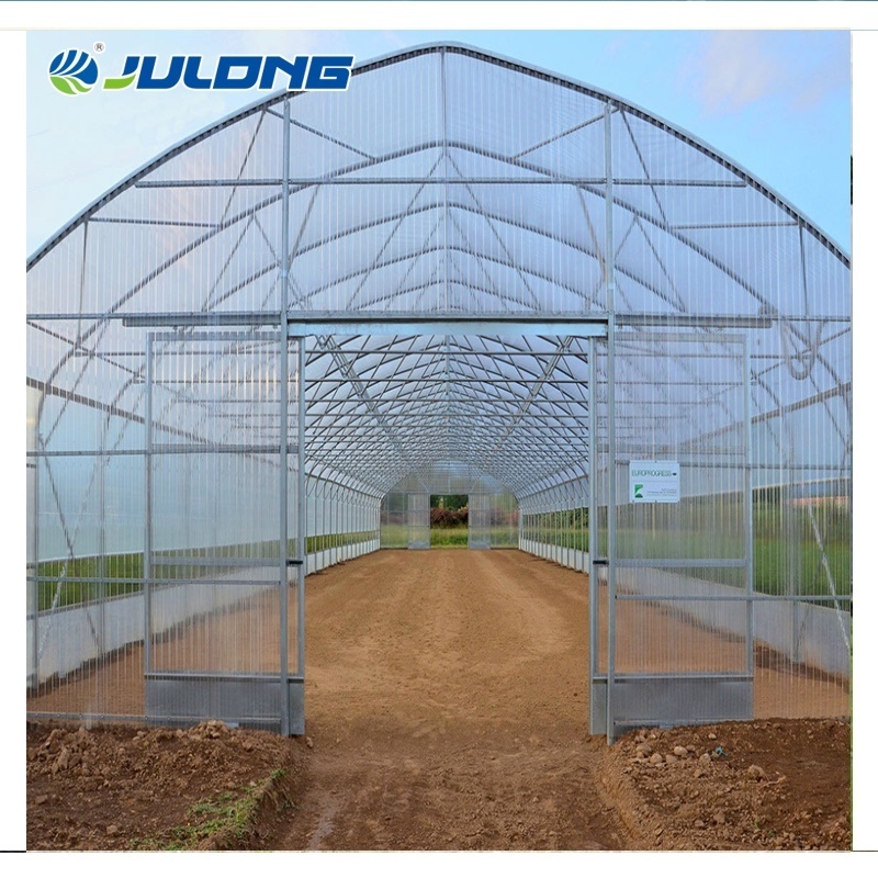 Commercial Tunnel Dwc Hydroponic Systems Vertical Single-span Greenhouses Equipment For seeding breeding