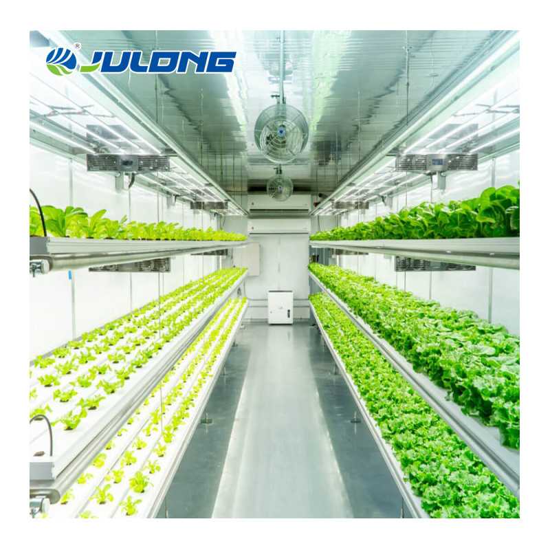 shipping container farm with hydroponic vertical system  for vegetable growing container