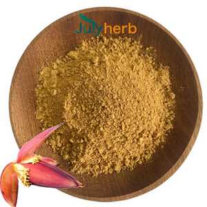 Julyherb top quality food grade 10:1 banana flower extract powder natural banana powder