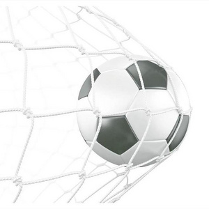 Custom Mesh Multi Sports Net Soccer Tennis Volleyball Badminton Net multipurpose folding net