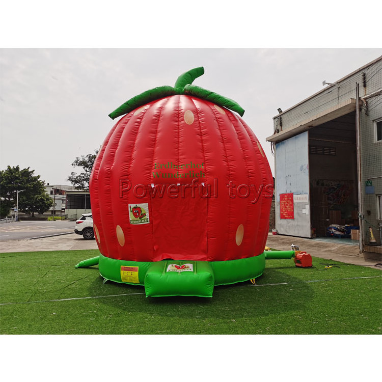 Factory Bouncer Inflatable strawberry Bounce House Bouncy Castle Combo With Slide