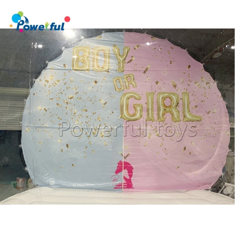 Gender reveal snowglobe party photo booth boy or girl inflatable snow globe