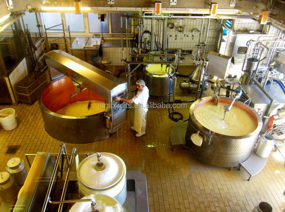 Yogurt Production Line / Milk Processing Plant