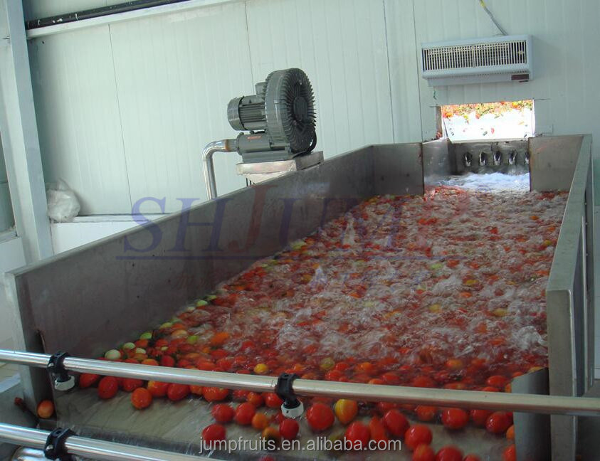 Large scale tomato paste/tomato concentrate production line in affordable cost and scientific design