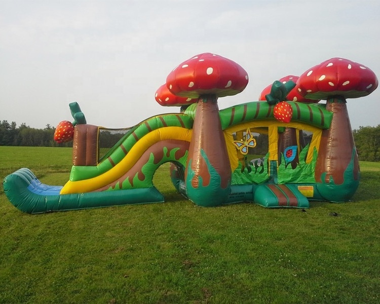 Hot Quality Great quality 2019 strawberry inflates castle with slide fruits theme Jumping castle combo bouncing house discount price