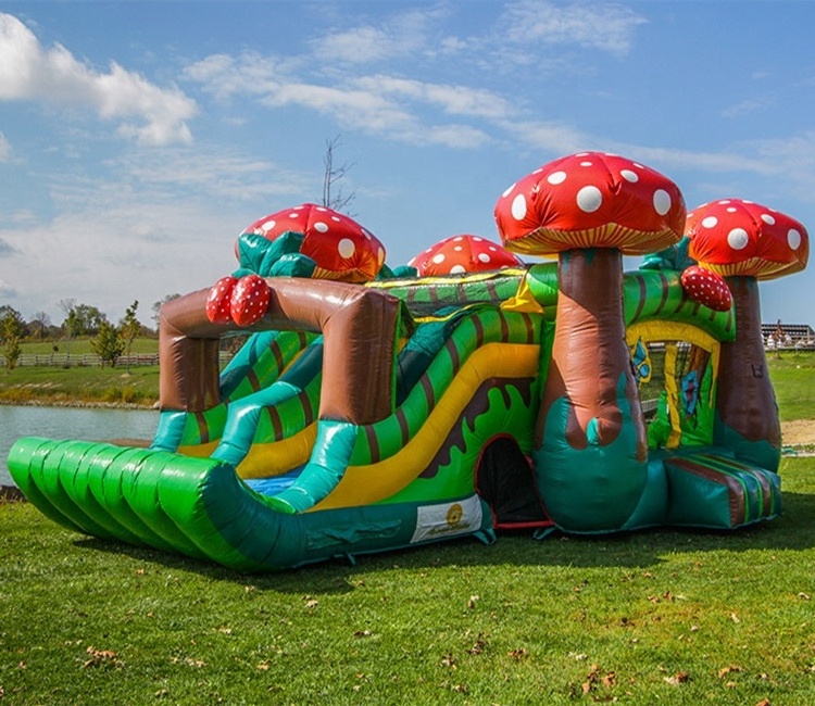 Hot Quality Great quality 2019 strawberry inflates castle with slide fruits theme Jumping castle combo bouncing house discount price