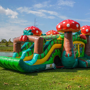 Hot Quality Great quality 2019 strawberry inflates castle with slide fruits theme Jumping castle combo bouncing house discount price