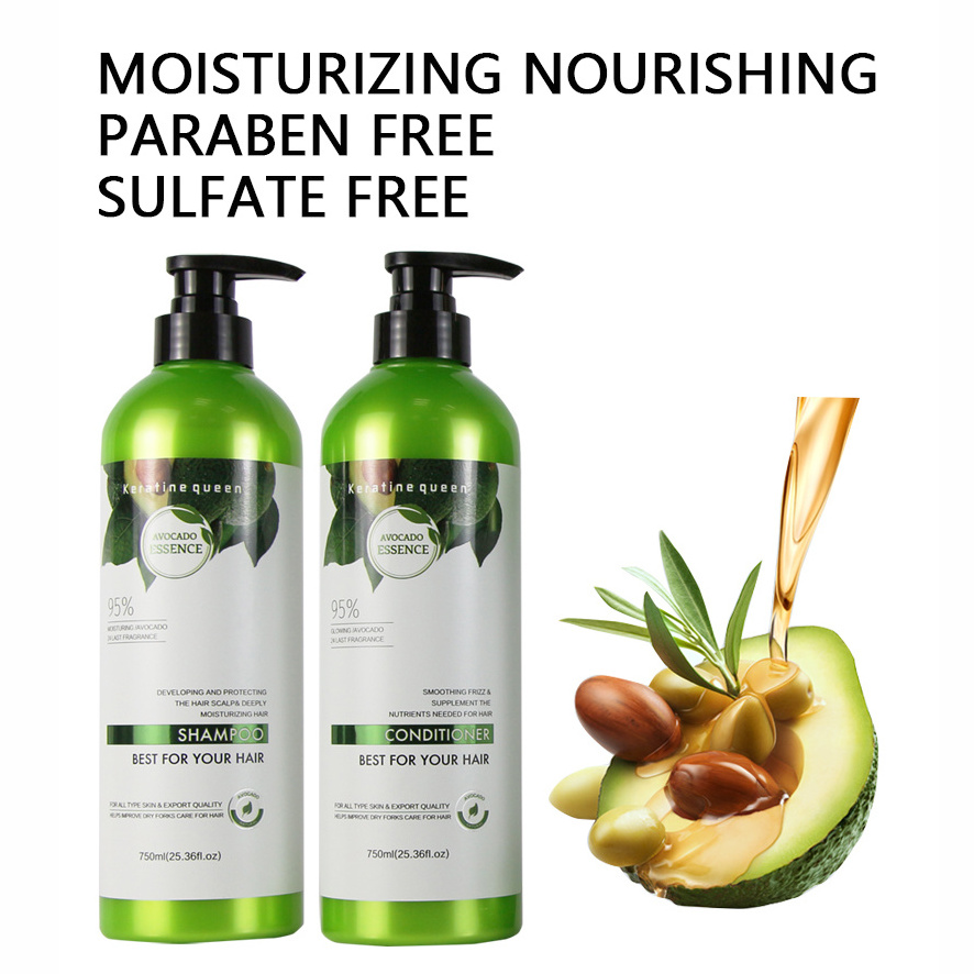 Manufacturer wholesale shea butter shampoo Sulfate Free new product  Refreshing shampoo for damage hair