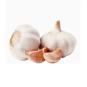 2024 Garlic Price Normal White Ajo Garlic Price From China