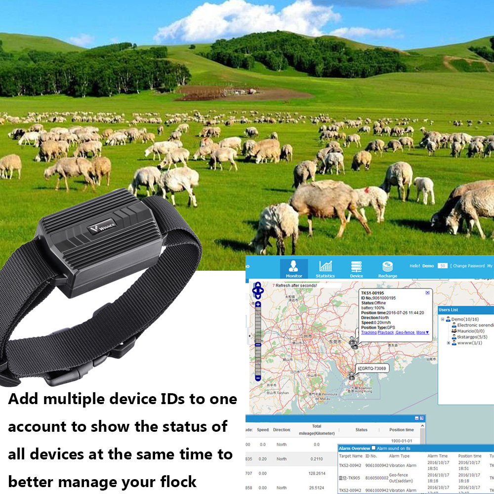 Winnes GPS tracker for cattle sheep and camels Hound Tracking Device Free APP Real Time GPS Locator GPS Tracker Collar For Farm